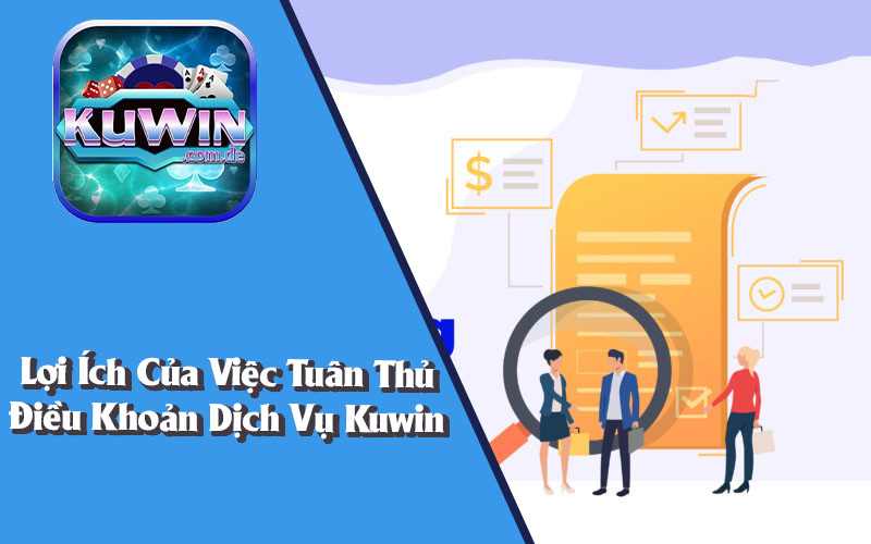 Lợi Ích Của Việc Tuân Thủ Điều Khoản Dịch Vụ Kuwin