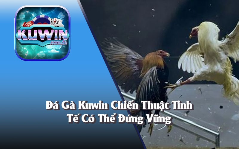 Đá gà Kuwin là nơi mà chỉ những người sẵn sàng mạo hiểm mới có thể trở thành nhà vô địch