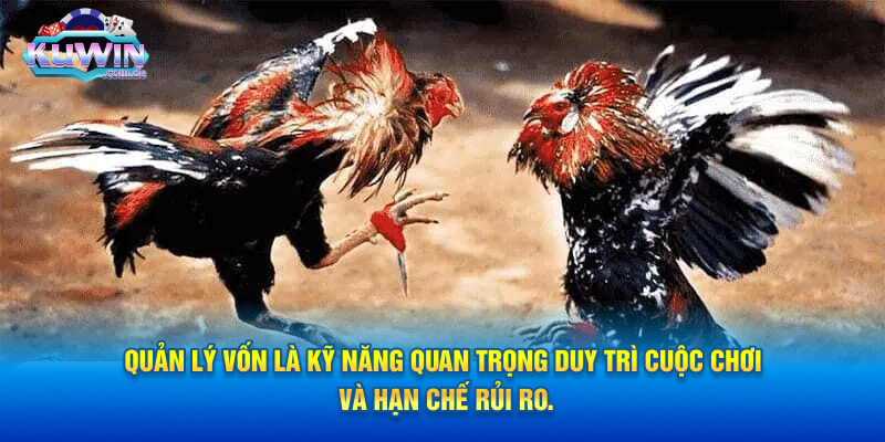 Quản lý vốn là kỹ năng quan trọng duy trì cuộc chơi và hạn chế rủi ro.