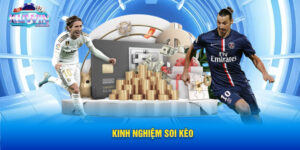 Kinh Nghiệm Soi Kèo