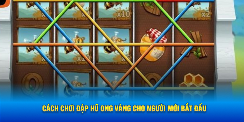 Cách chơi đập hũ ong vàng cho người mới bắt đầu